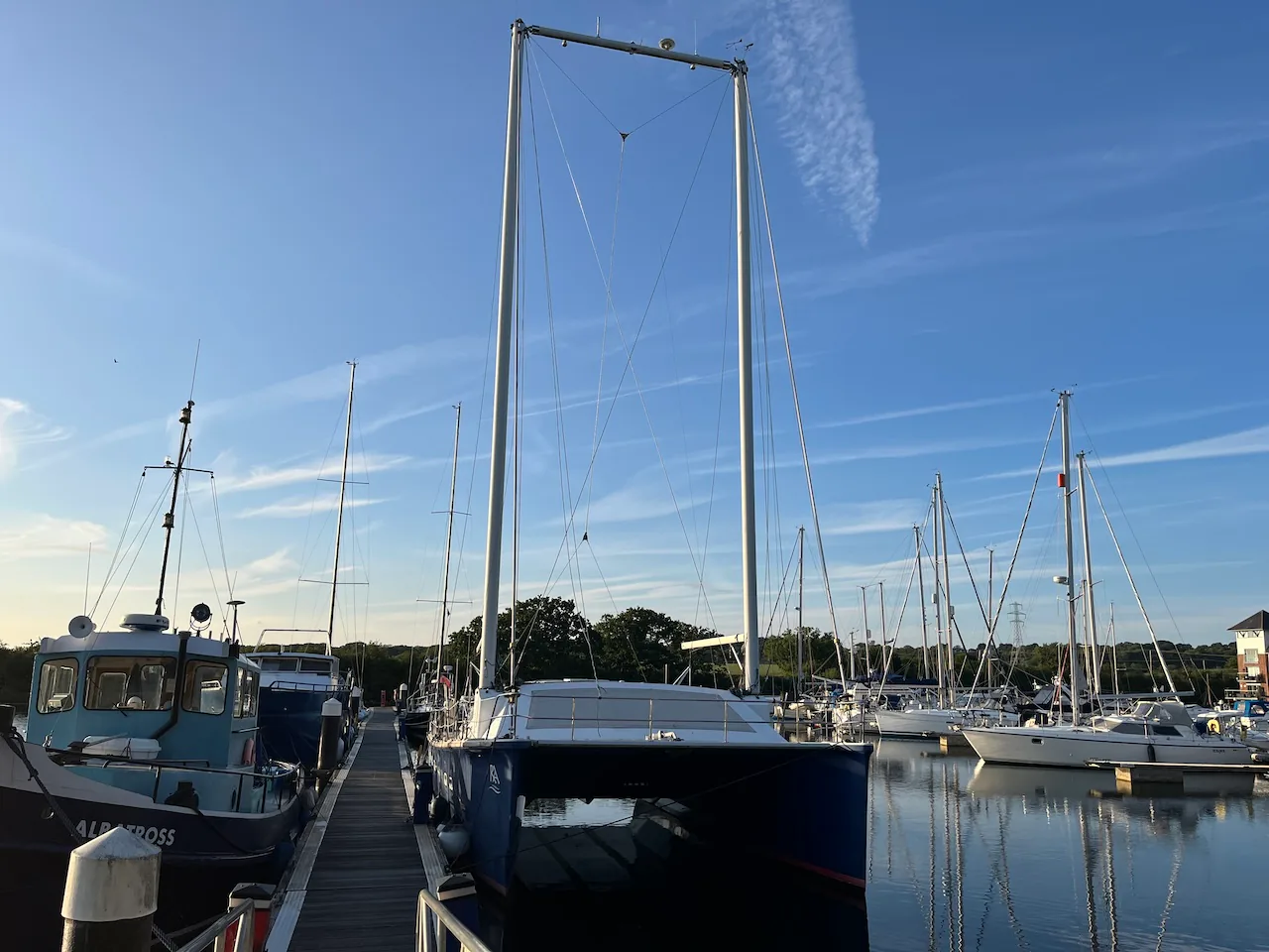 The Moxley 12
