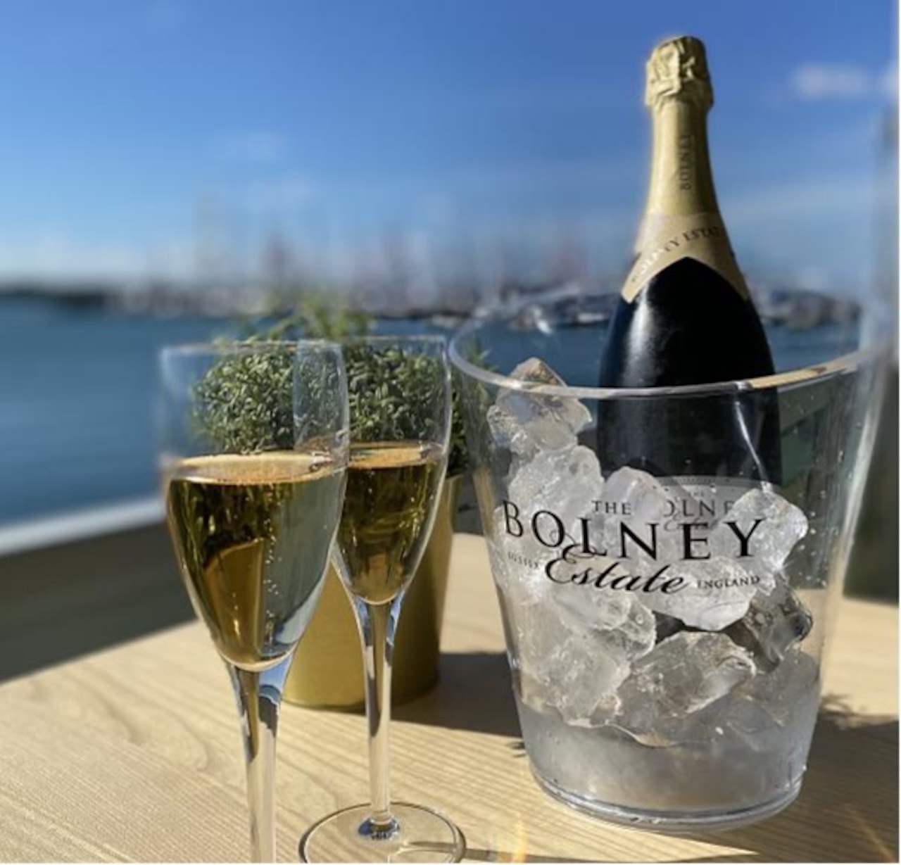 Bolney Wine Estate Joins Cowes Week 2025