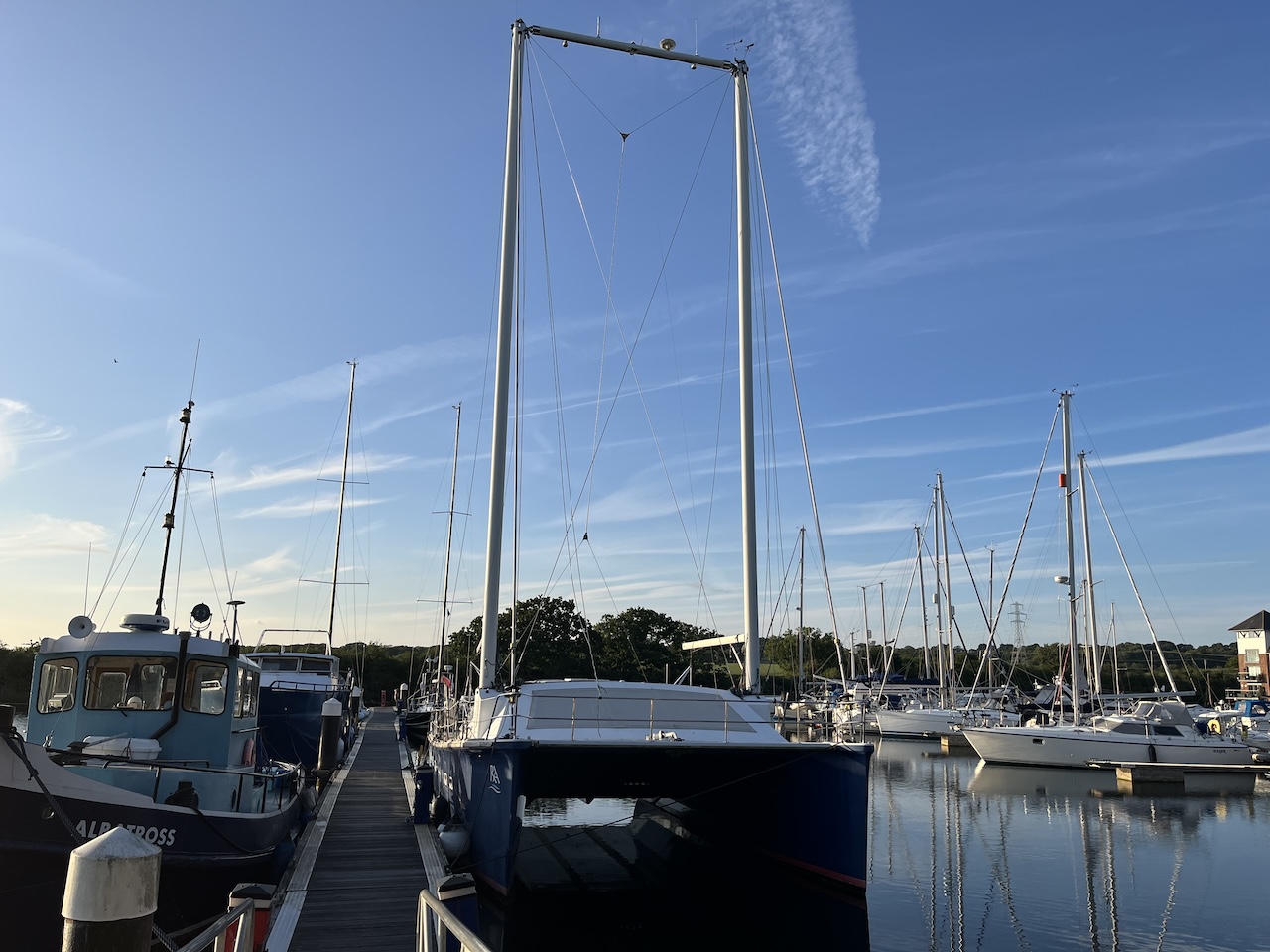 The Moxley 12